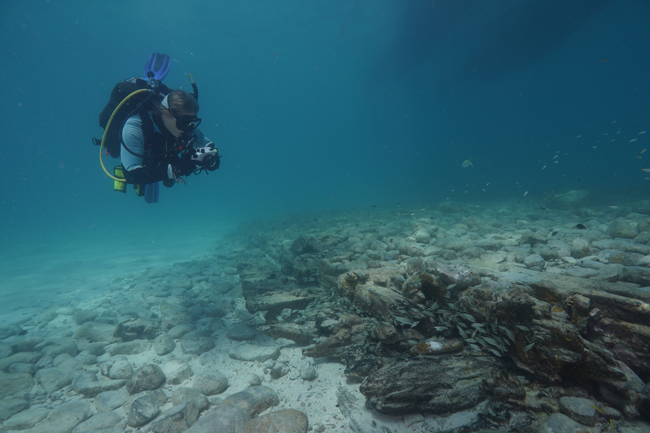 Diver by shipwreck