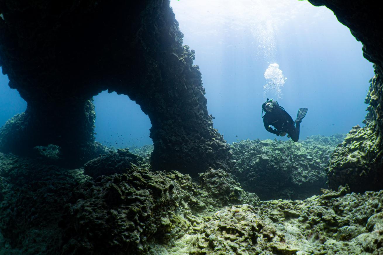 Kona Honu Divers