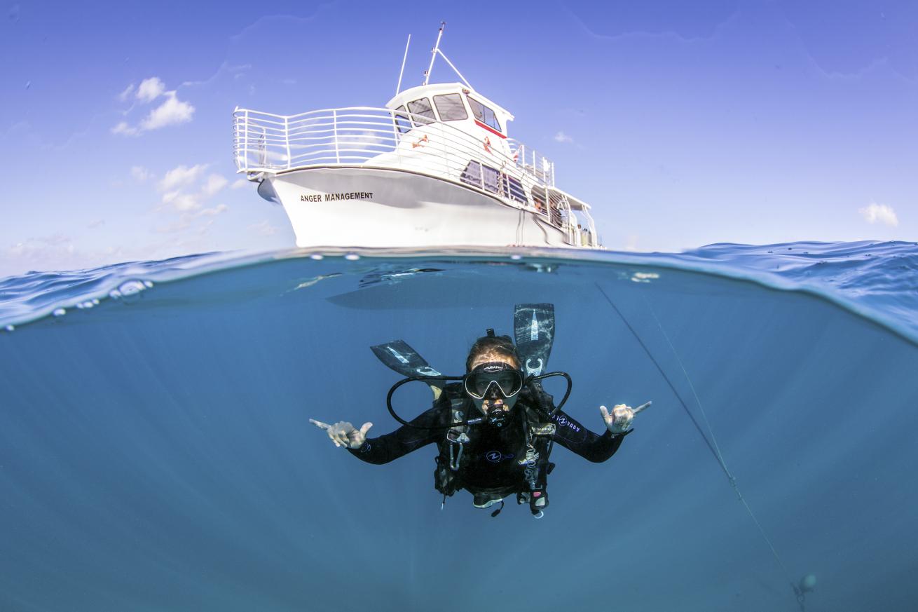 Dive Oahu