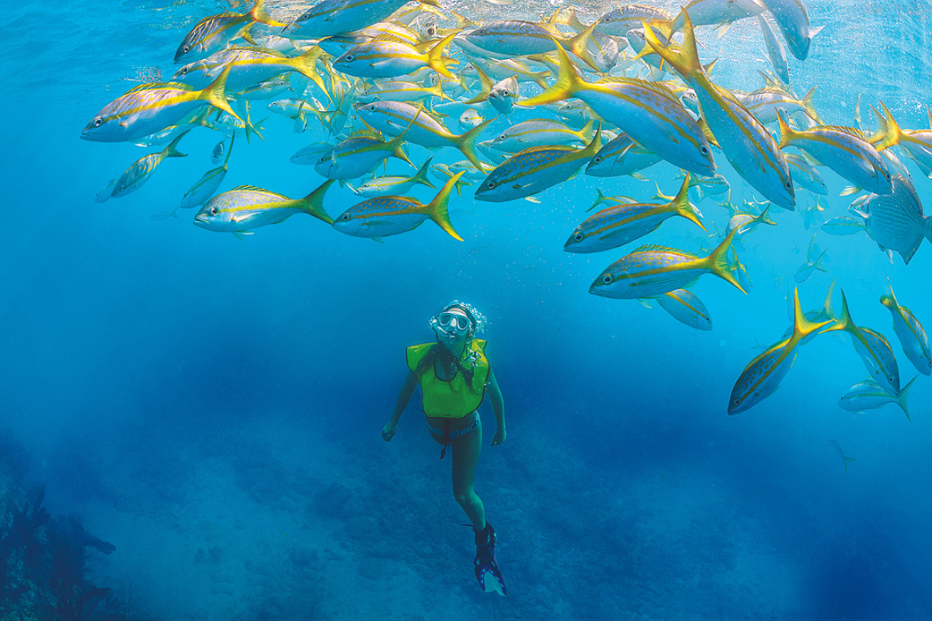 Female snorkeling with fish