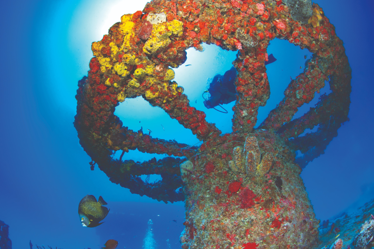 scuba diver swimming over a wreck