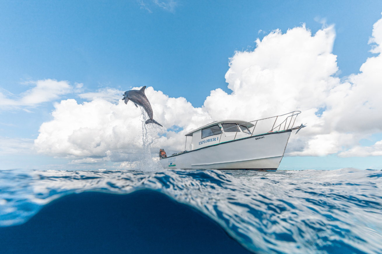 Boat in water next to dolphin jumping out of water