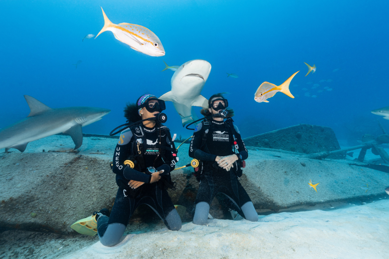 Two divers kneeling on the sea floor