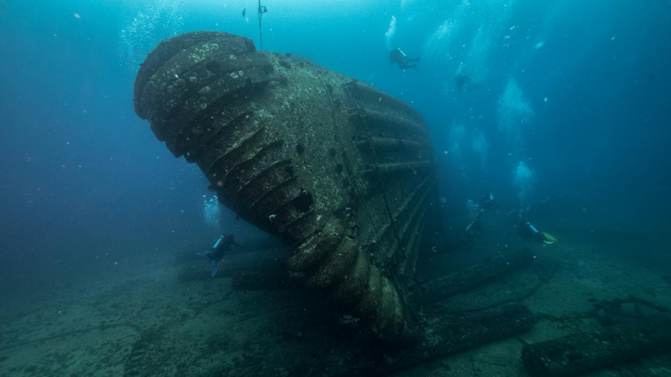 Dive Oahu