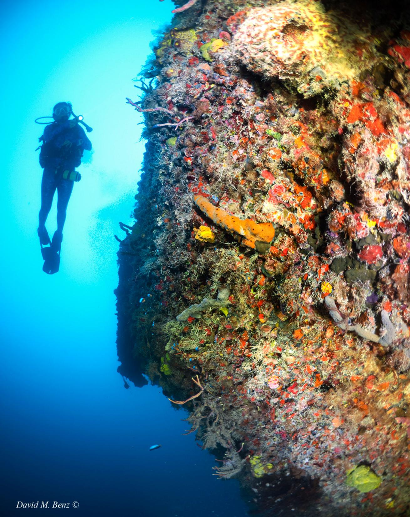 Diver testing Seawing Supernova fins