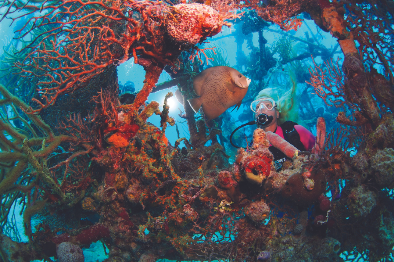 Female scuba diver looking at fish on artificial reef.