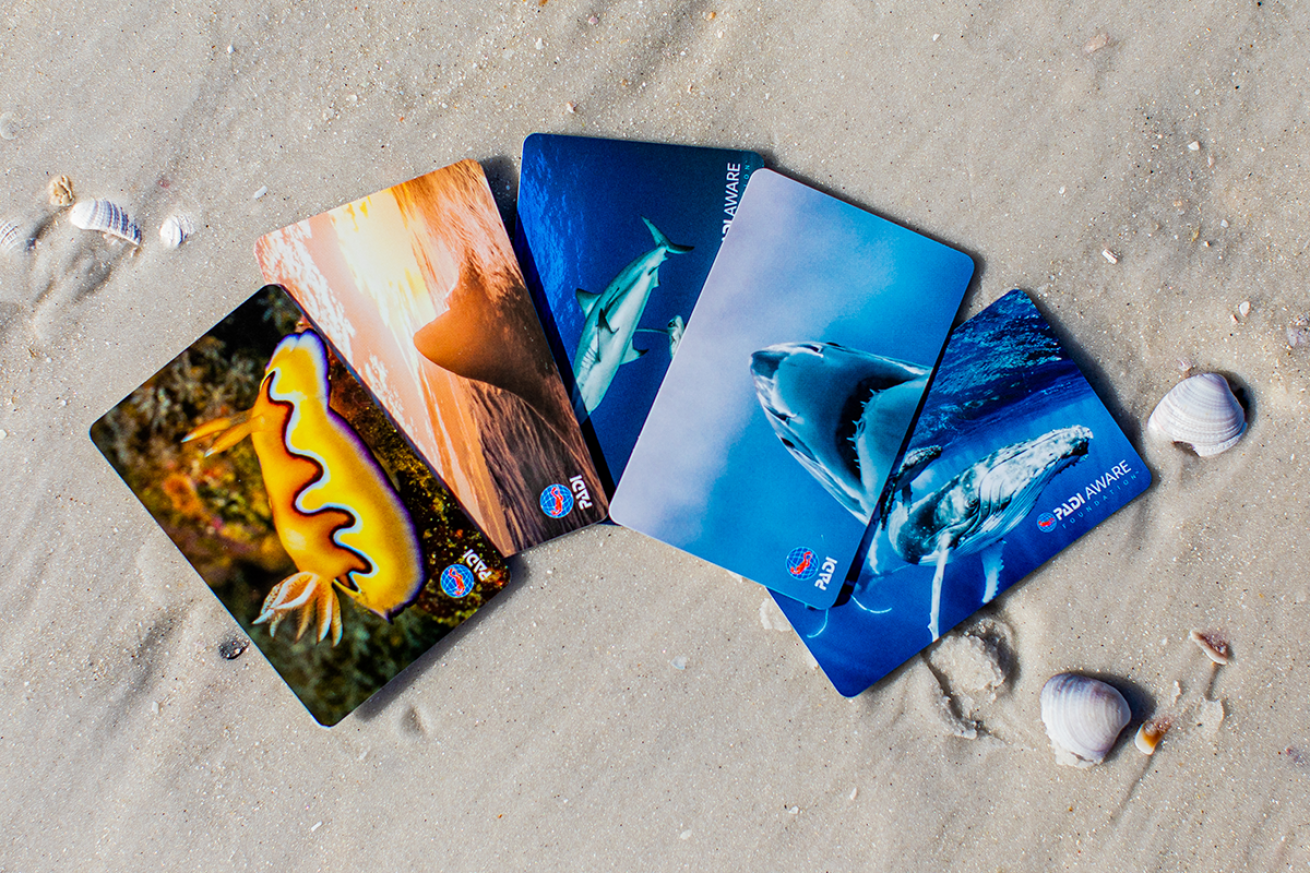 PADI certification cards