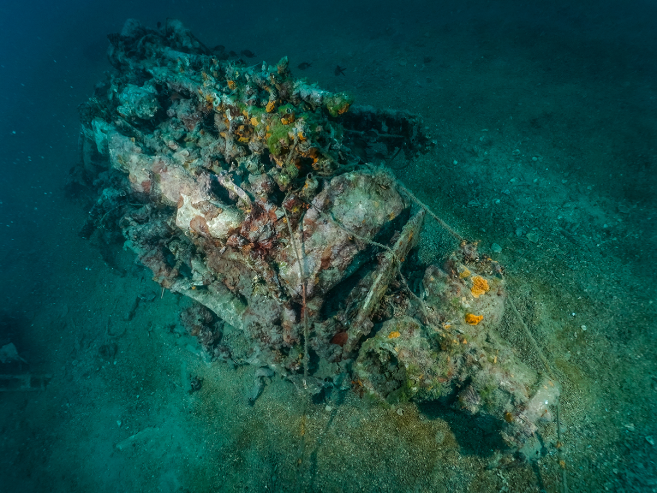 A rusty engine in the bottom of the ocean. 