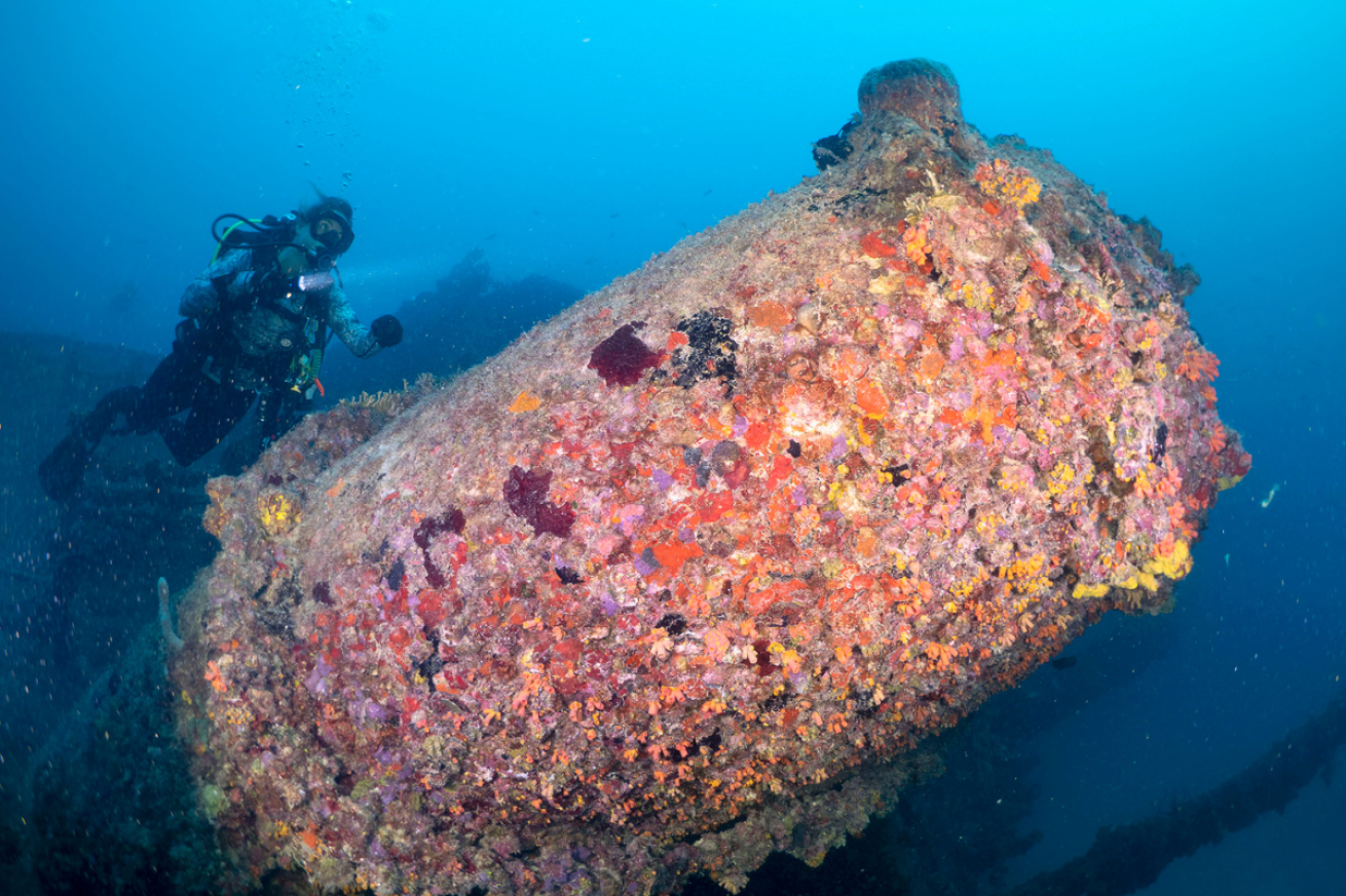 Scuba diver with flashlight looking at shipwreck