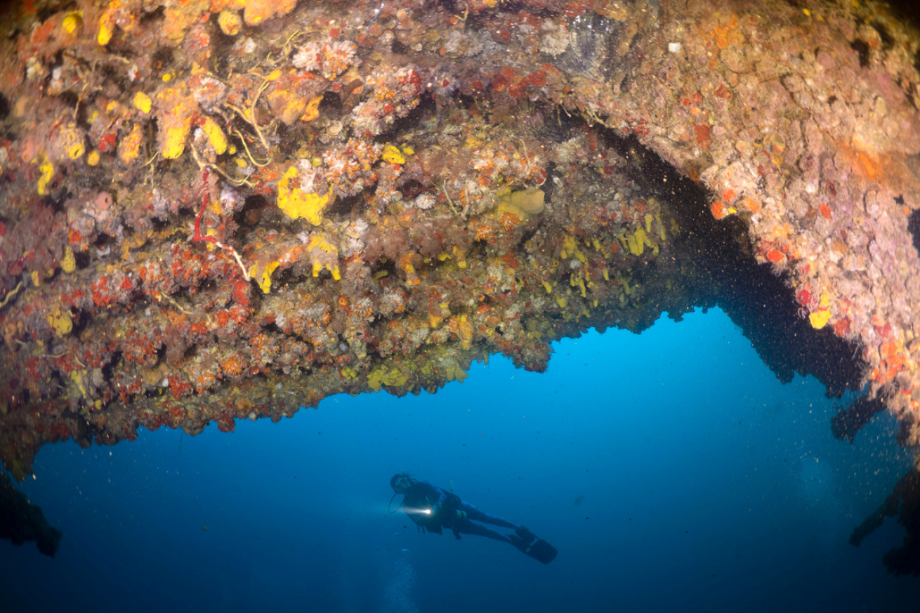 Scuba diver swimming next to wreck