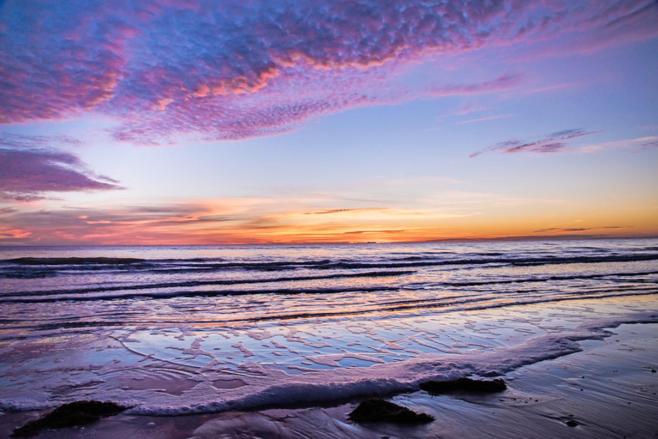 sea turtles nest in sandy beaches