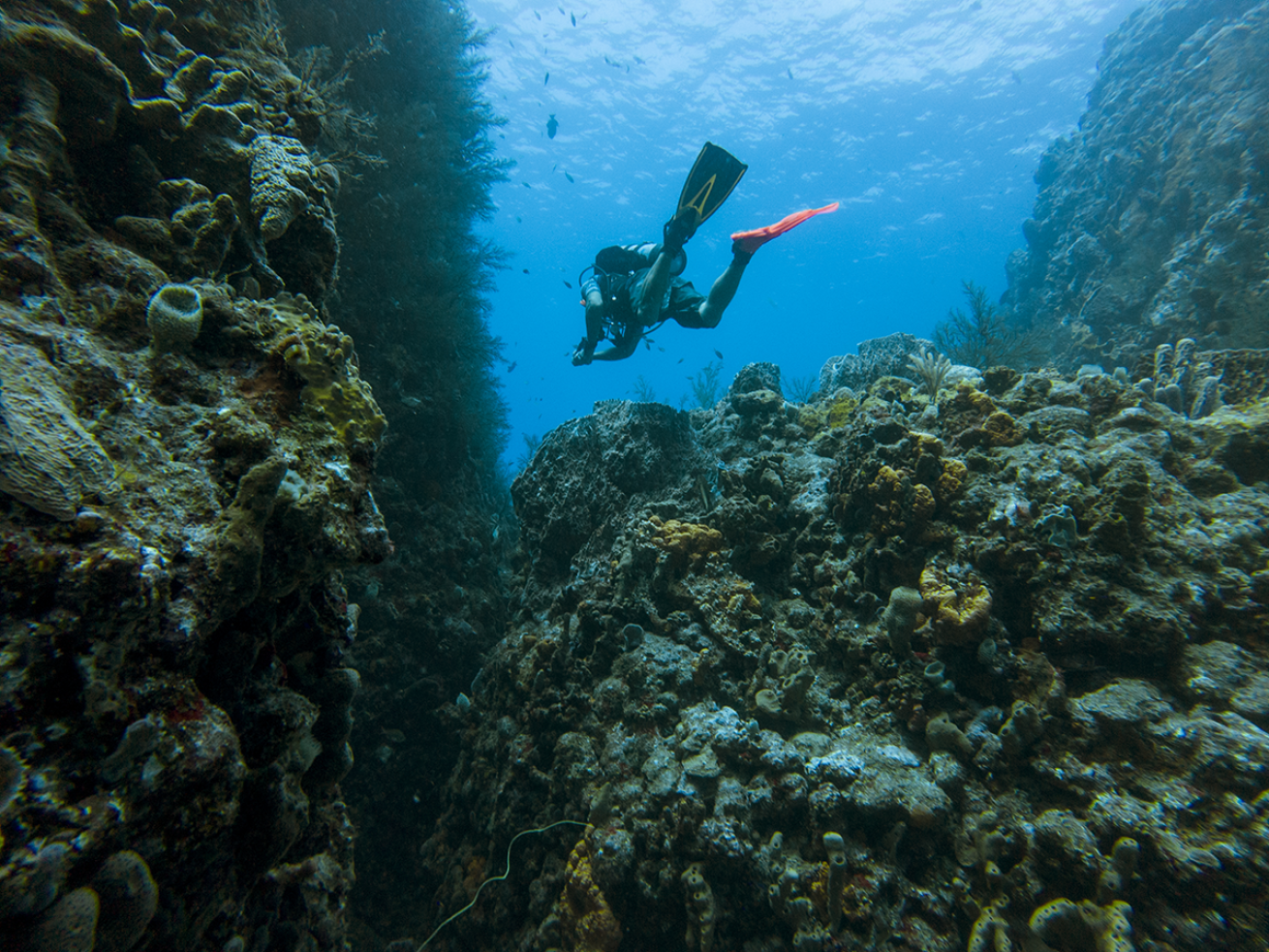 Diver approaches the Man O’War Shoals