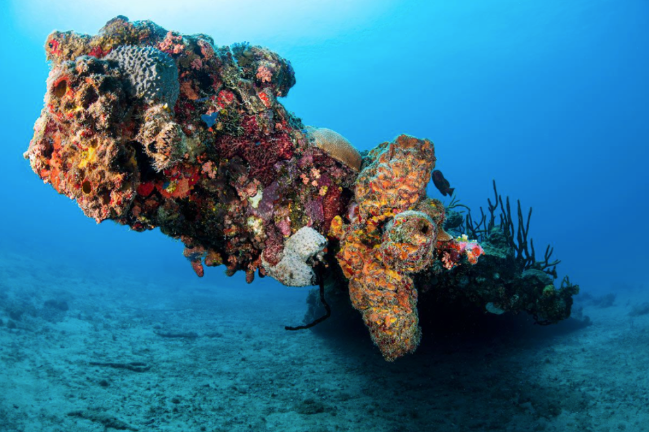 RMS Rhone Bowsprit