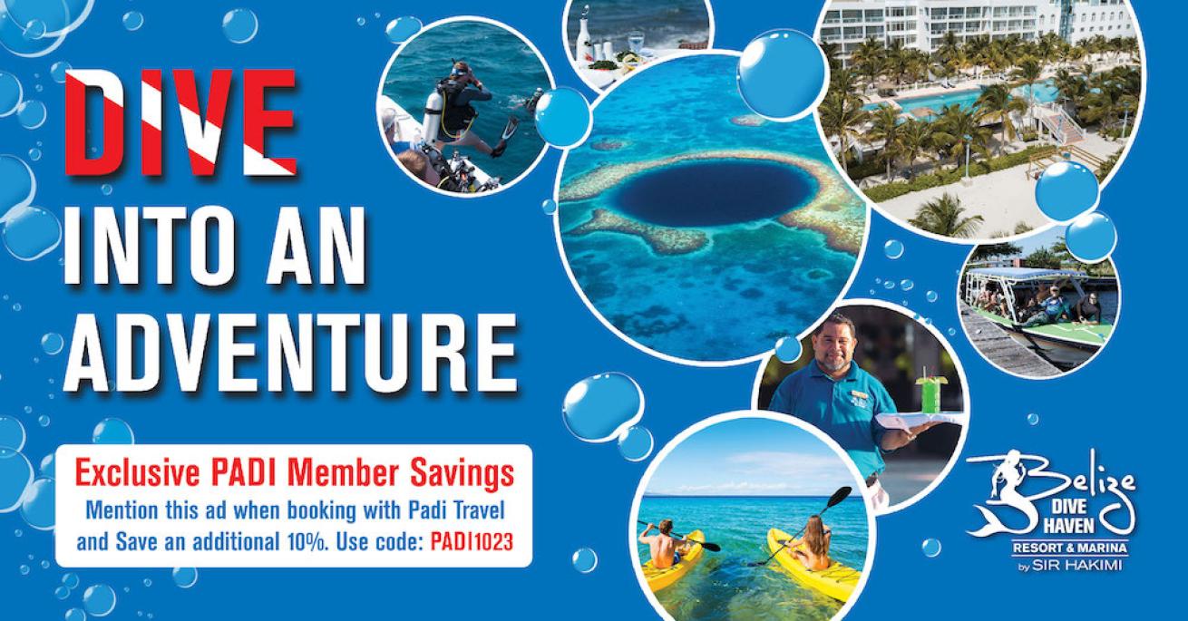 Belize Dive Haven