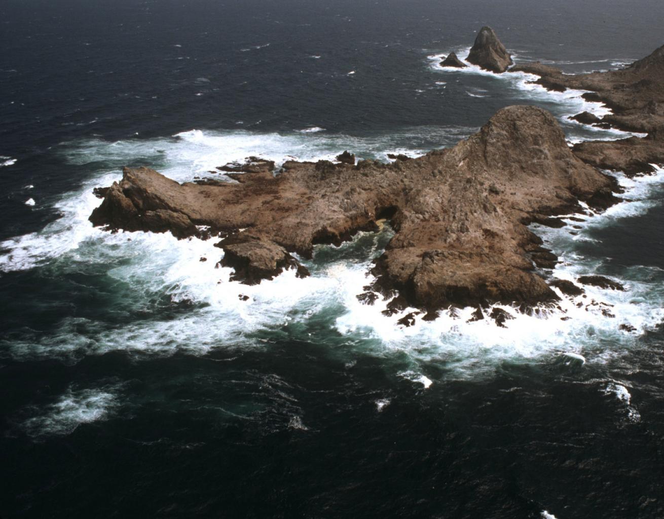 South Farallon Islands, California