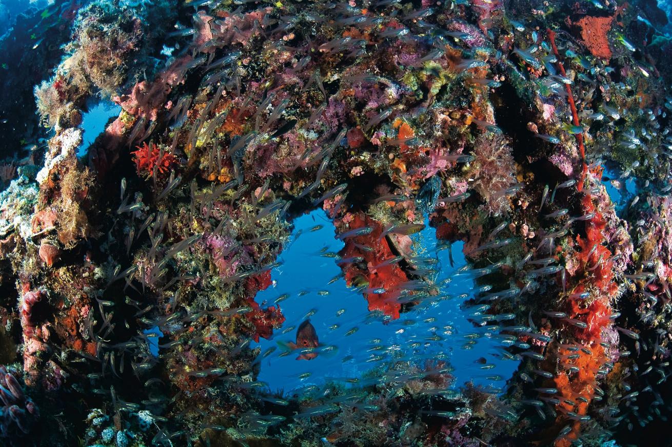 palau wreck diving