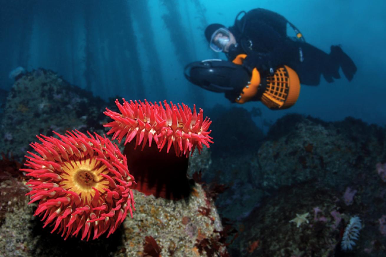 shore scuba diving destinations