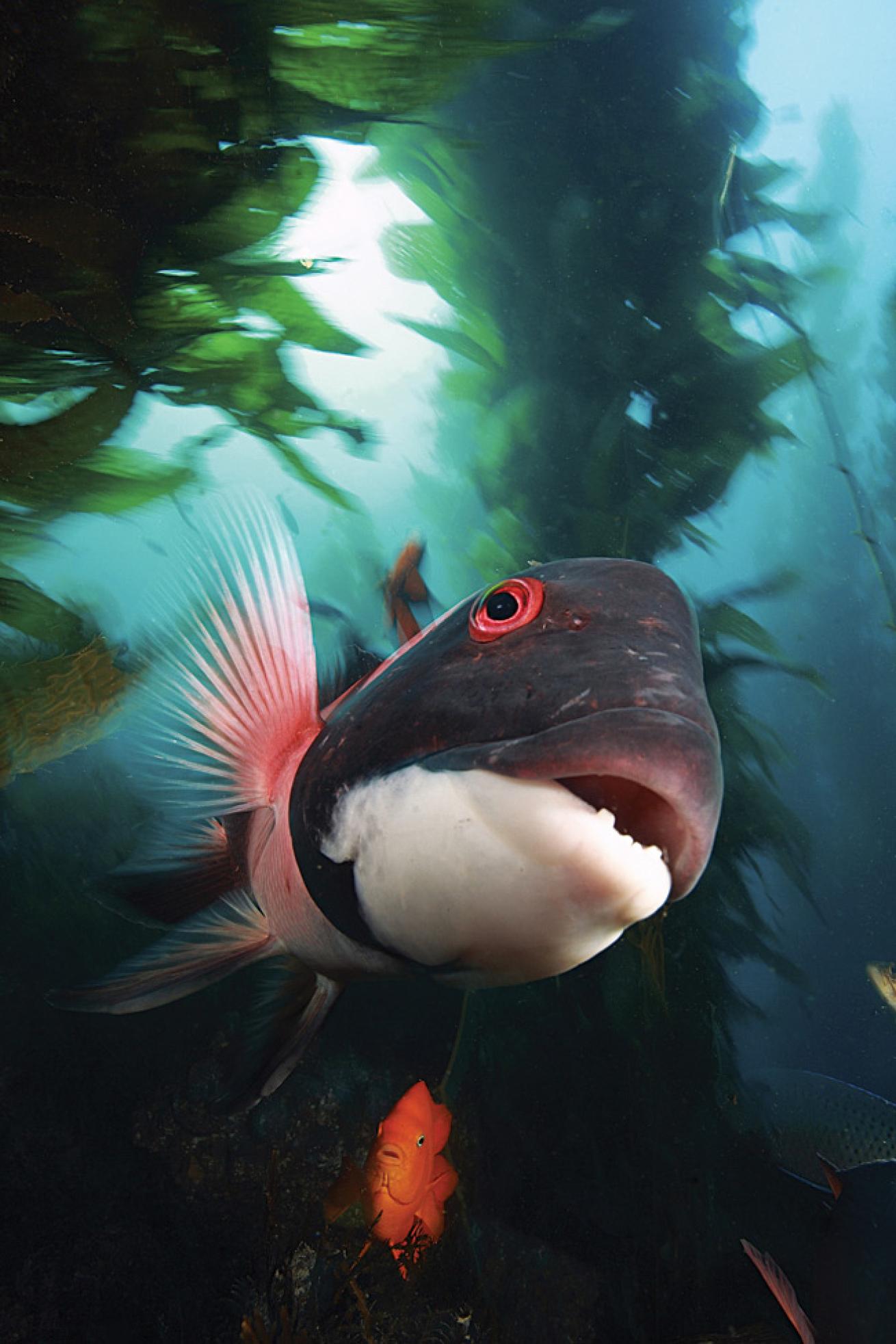 best value scuba diving destinations