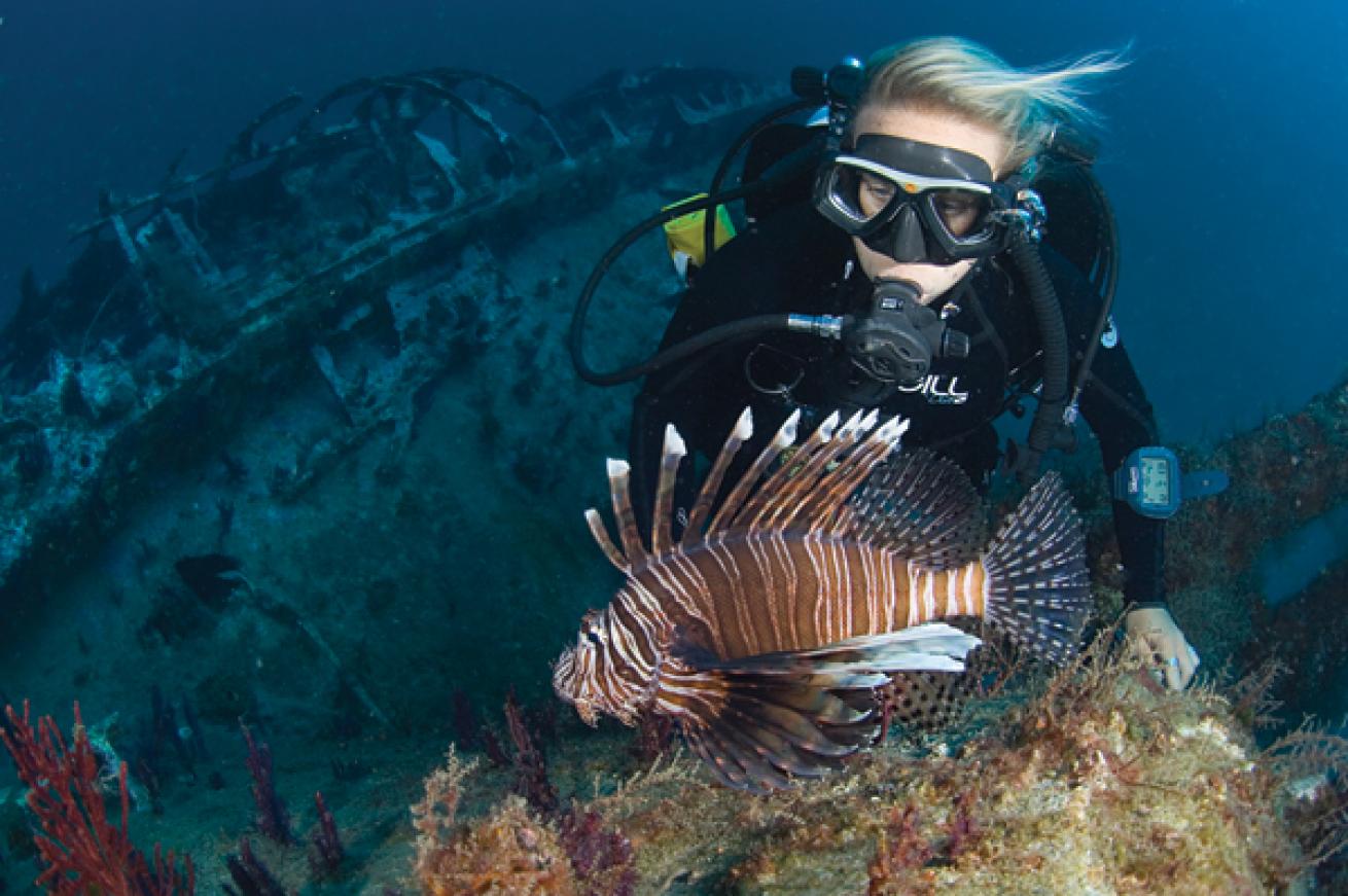 Wreck dive on a German submarine in Cape Lookout, North Carolina