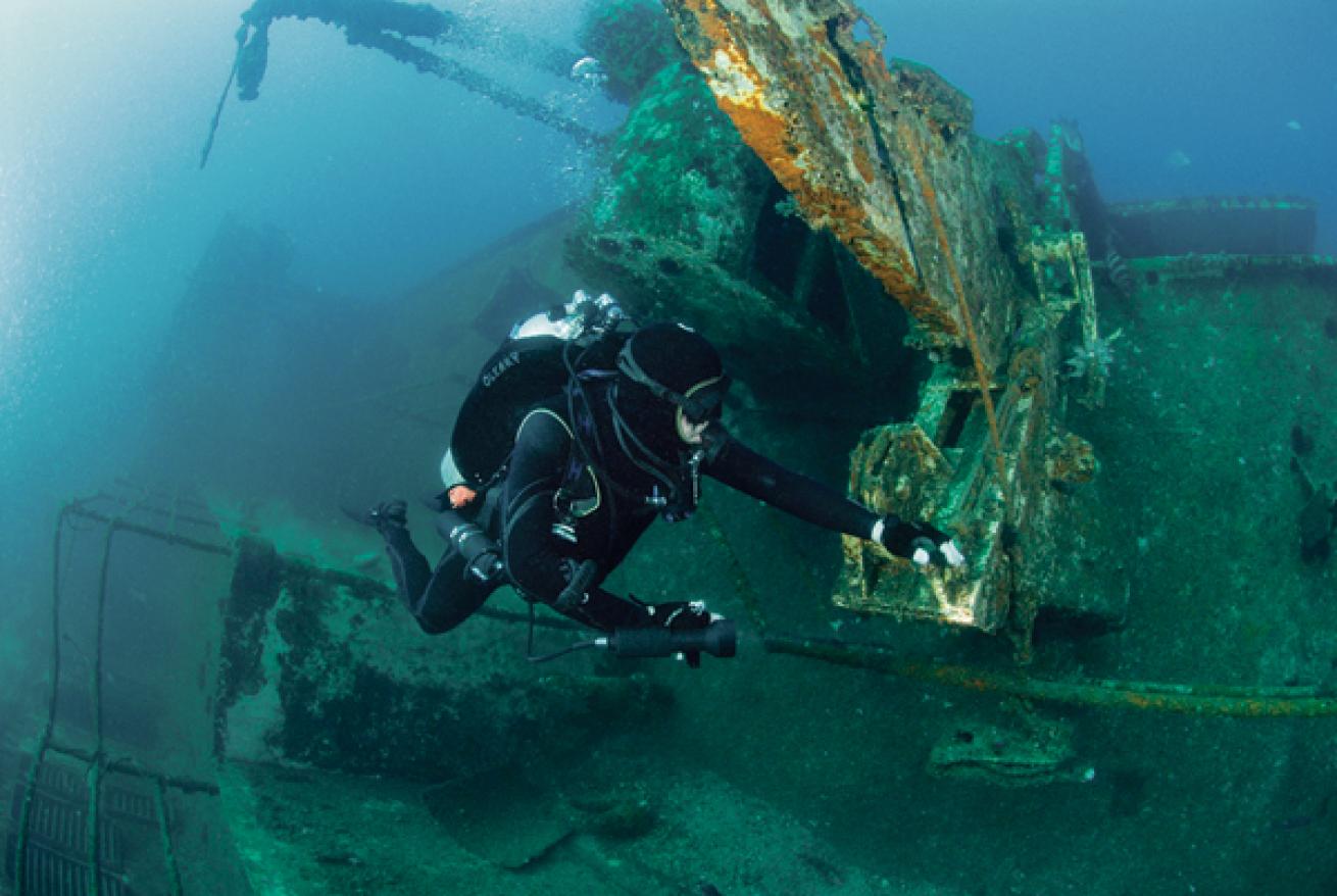 Scuba diving with whale sharks and hammerheads on South Padre Island, Texas