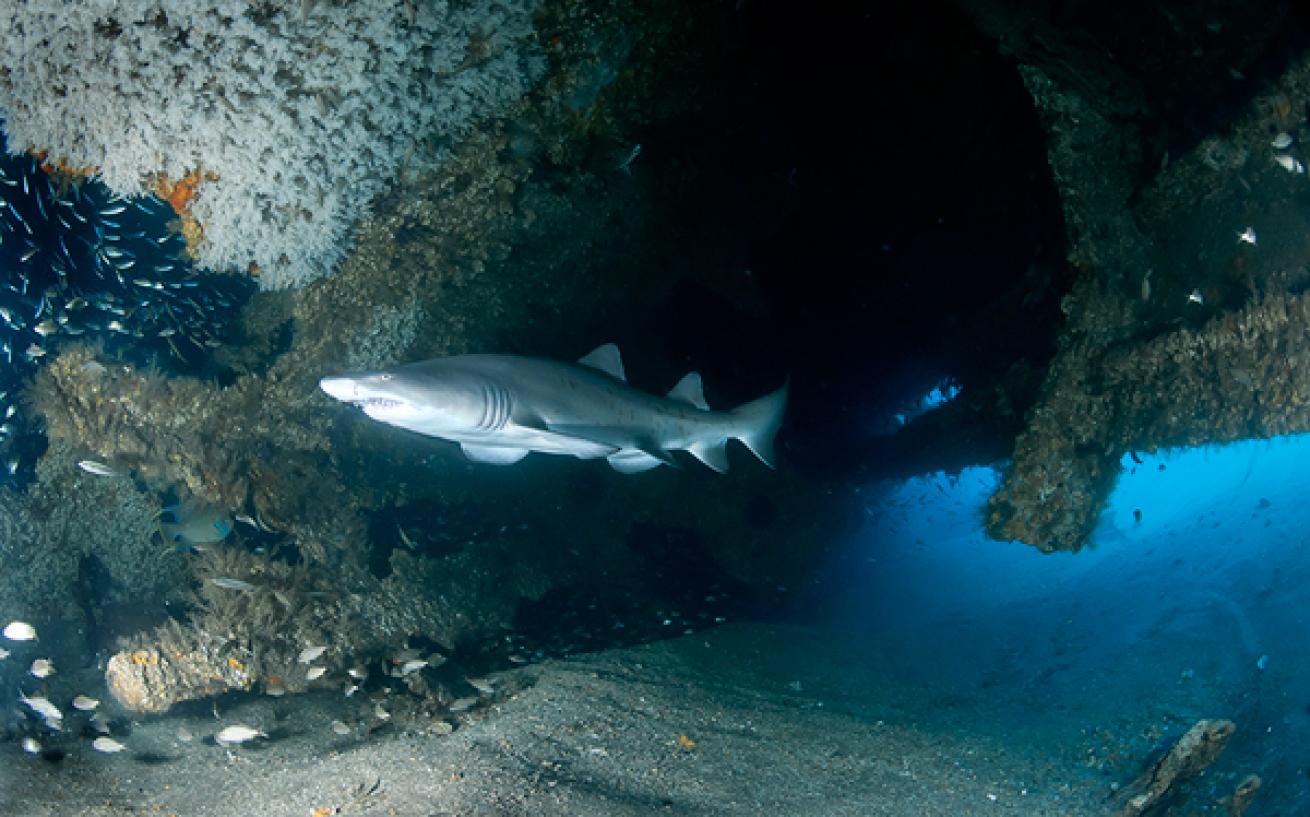 Top 10 Wreck Dives of North Carolina Scuba Diving