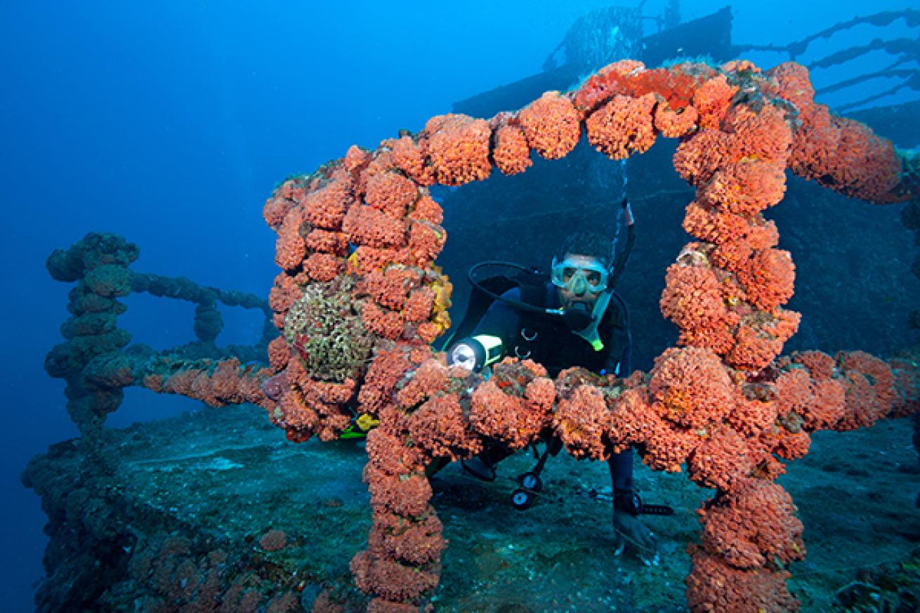 Florida wreck