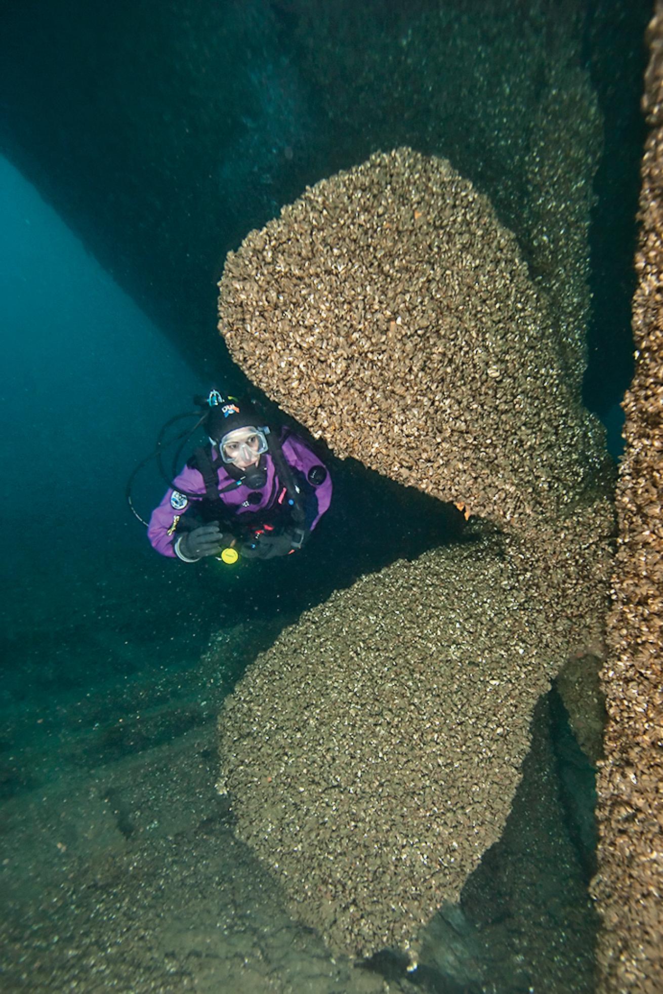 best advanced scuba diving