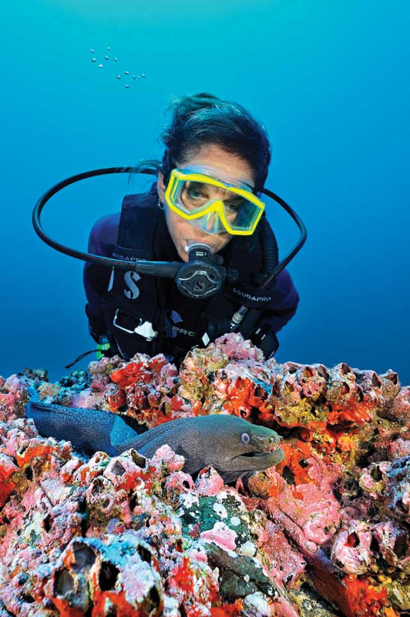 Manuelita Island dive site