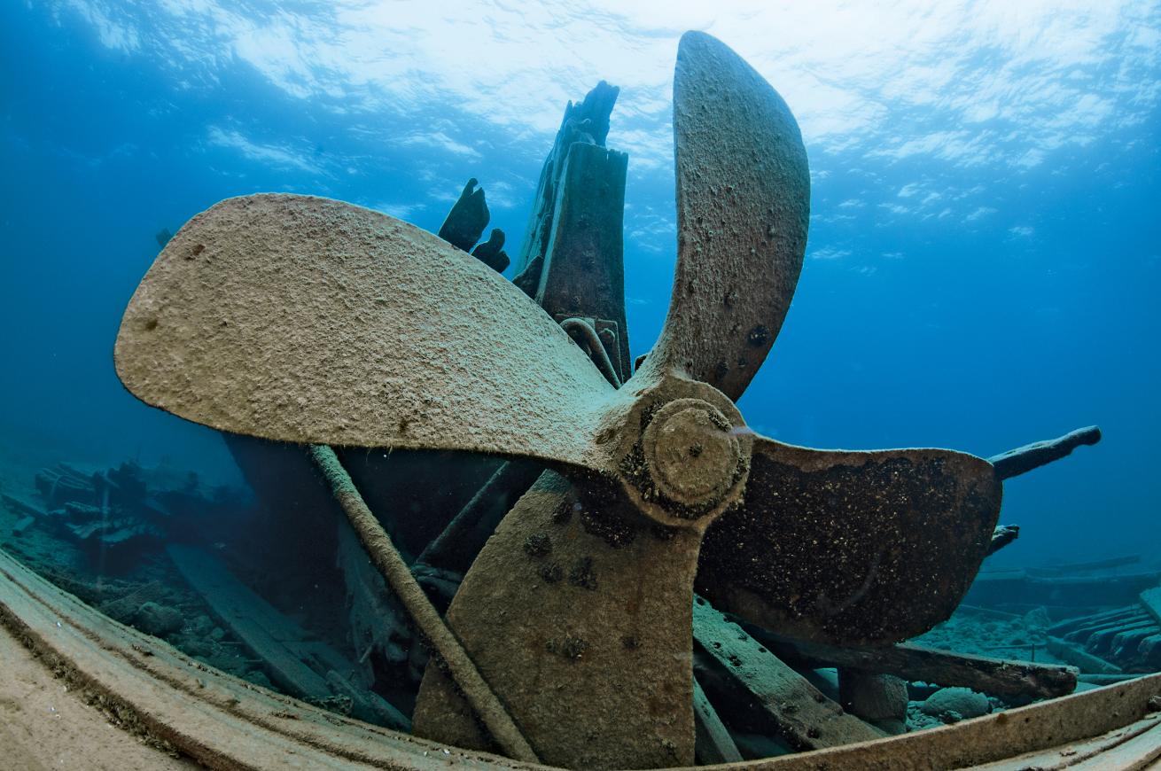 wreck diving 