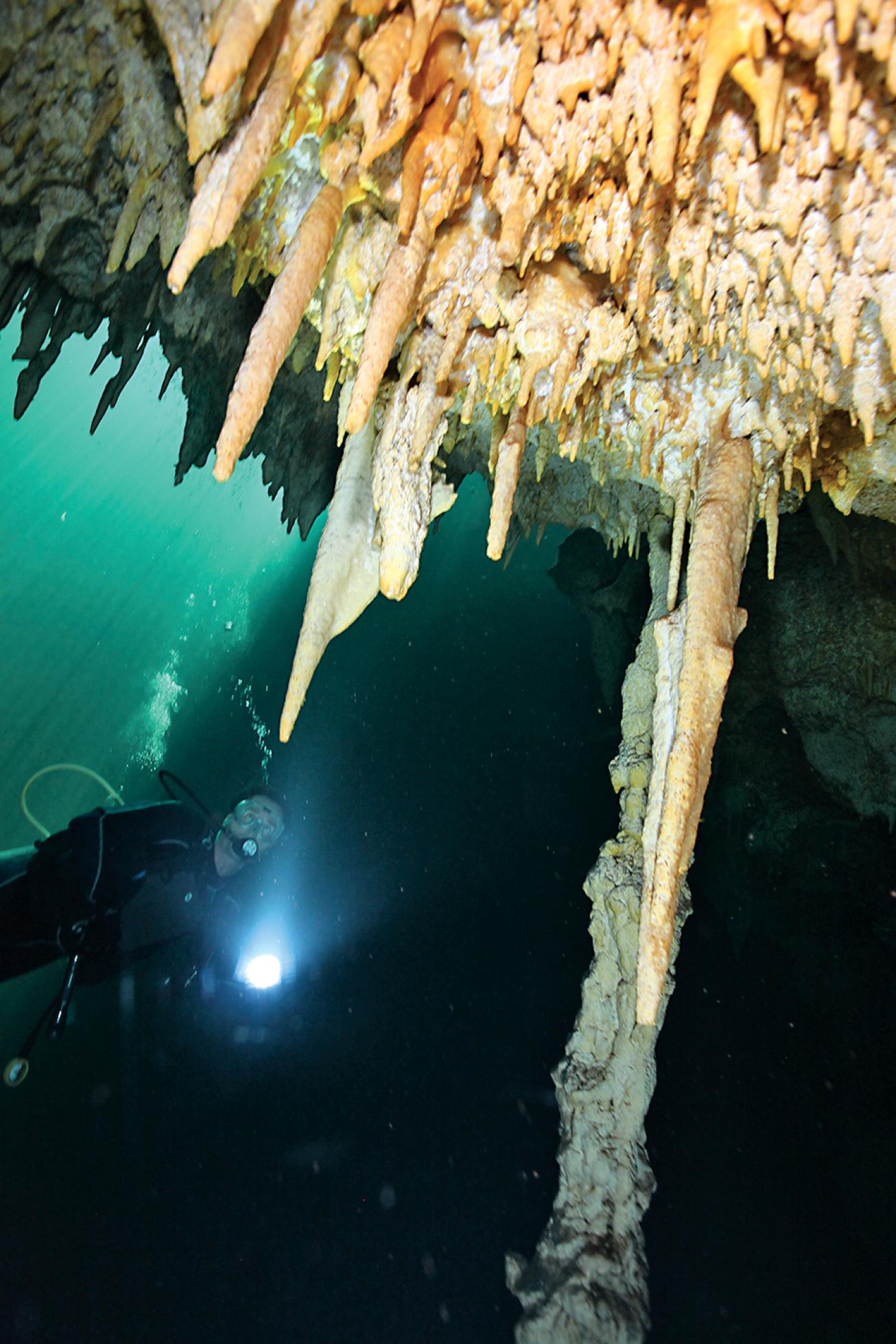 scuba diving Andros Island, Bahamas