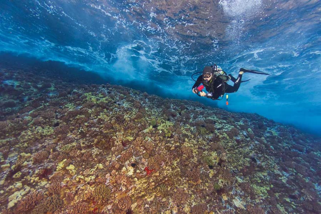 scuba diving molokini crater