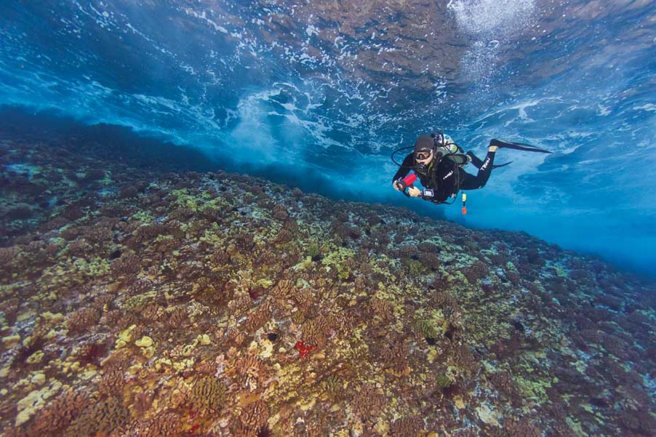 scuba diving molokini crater 