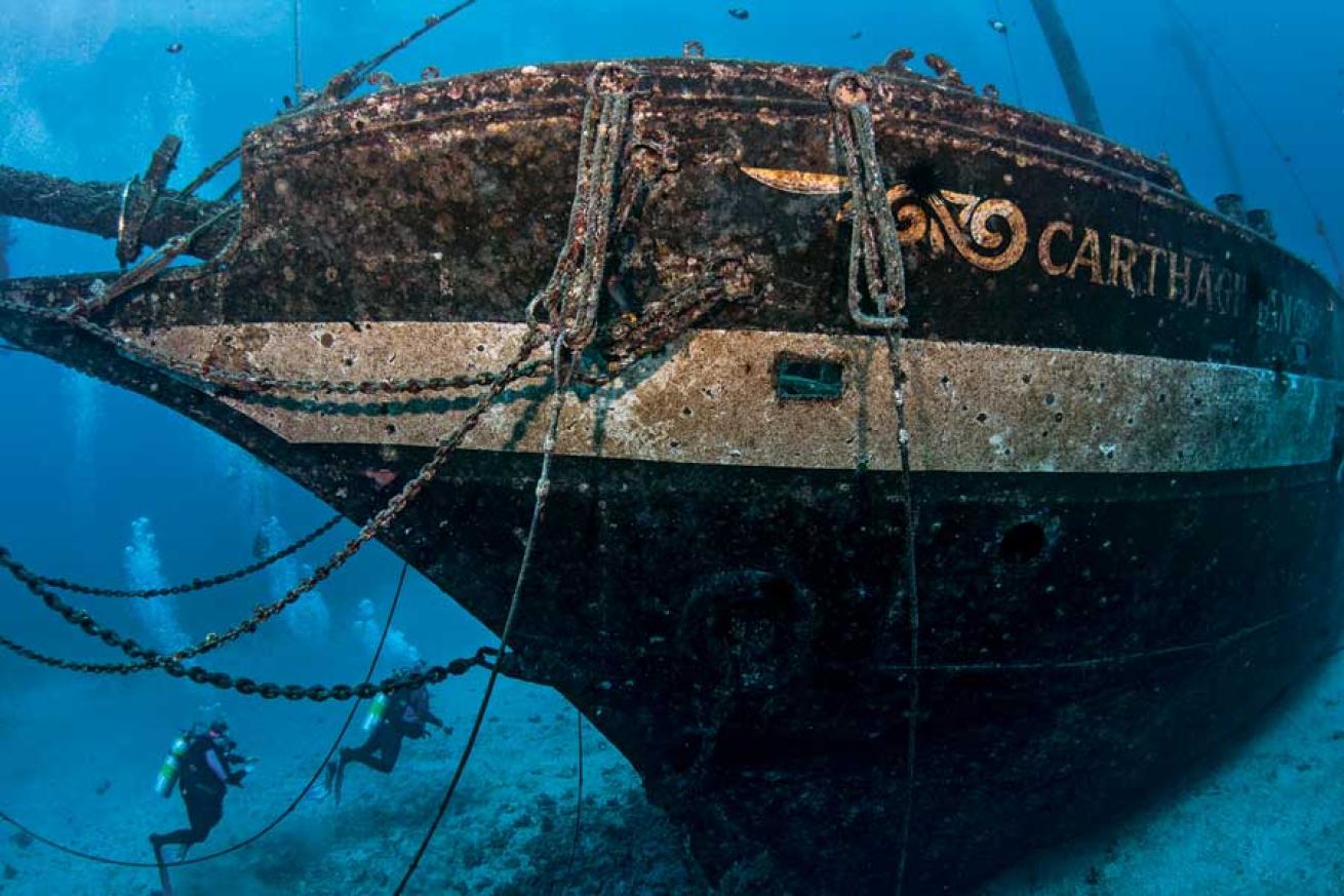 scuba diving in Maui