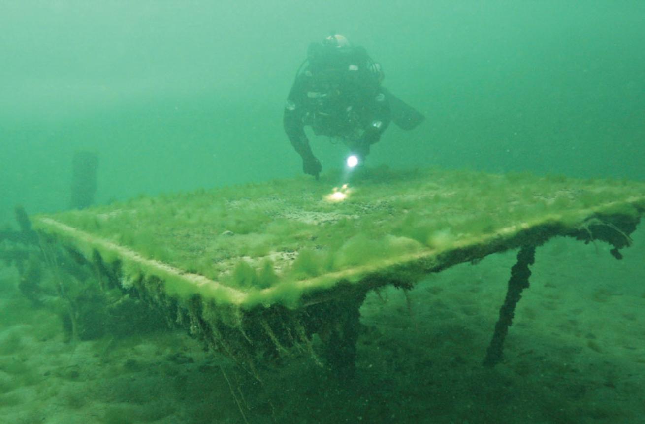 Training Platform at Havasu's Dive Site 