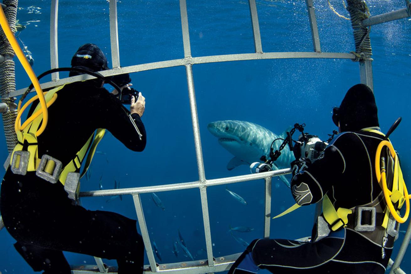 scuba diving mexico