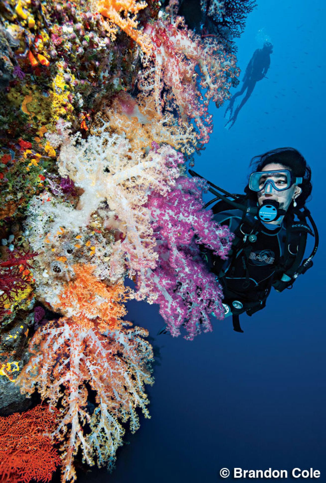 scuba diving in Palau