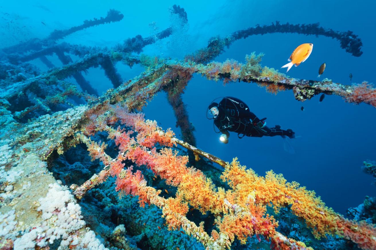 scuba diving in egypt