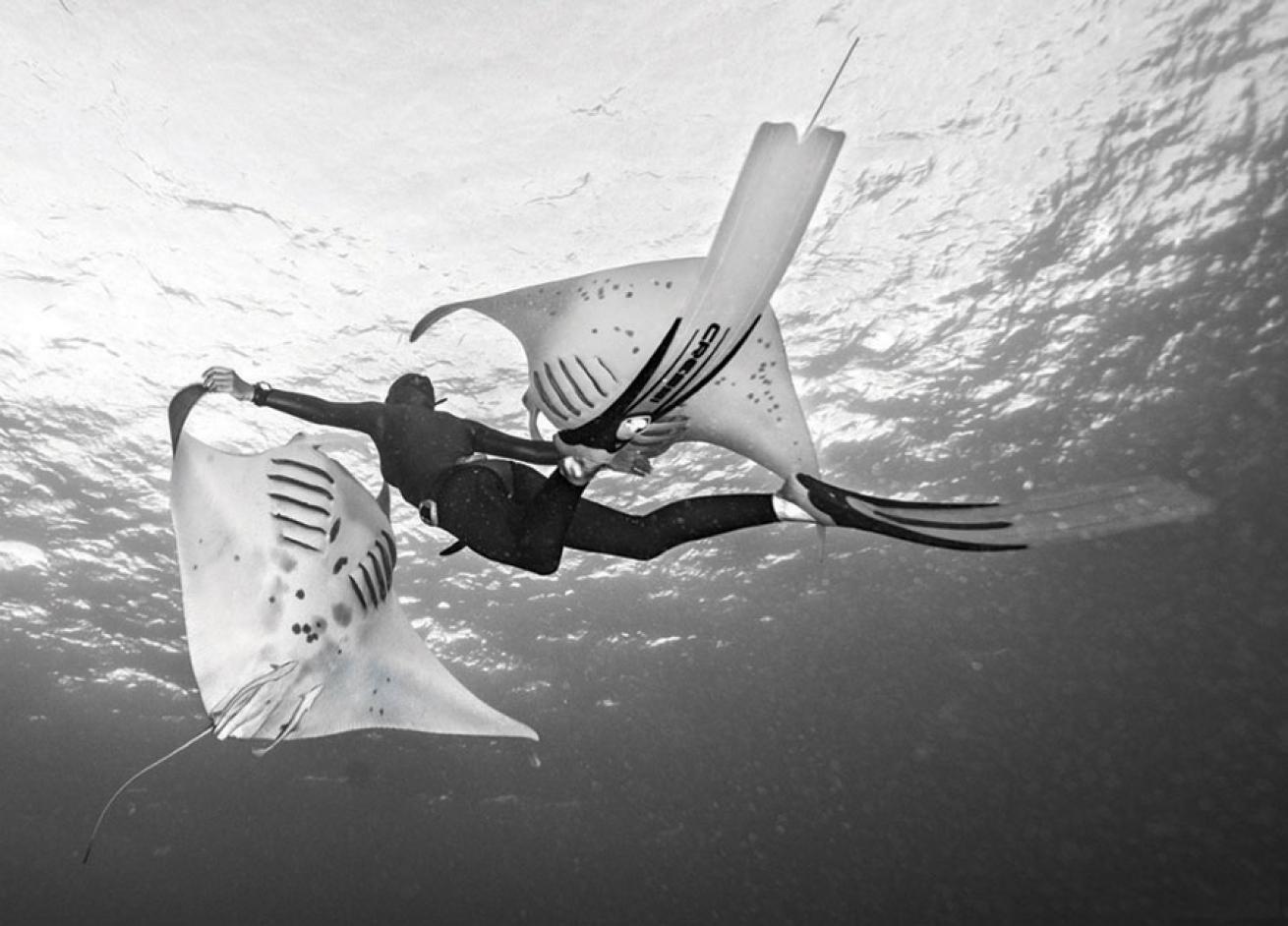 scuba diving with manta rays in Palau