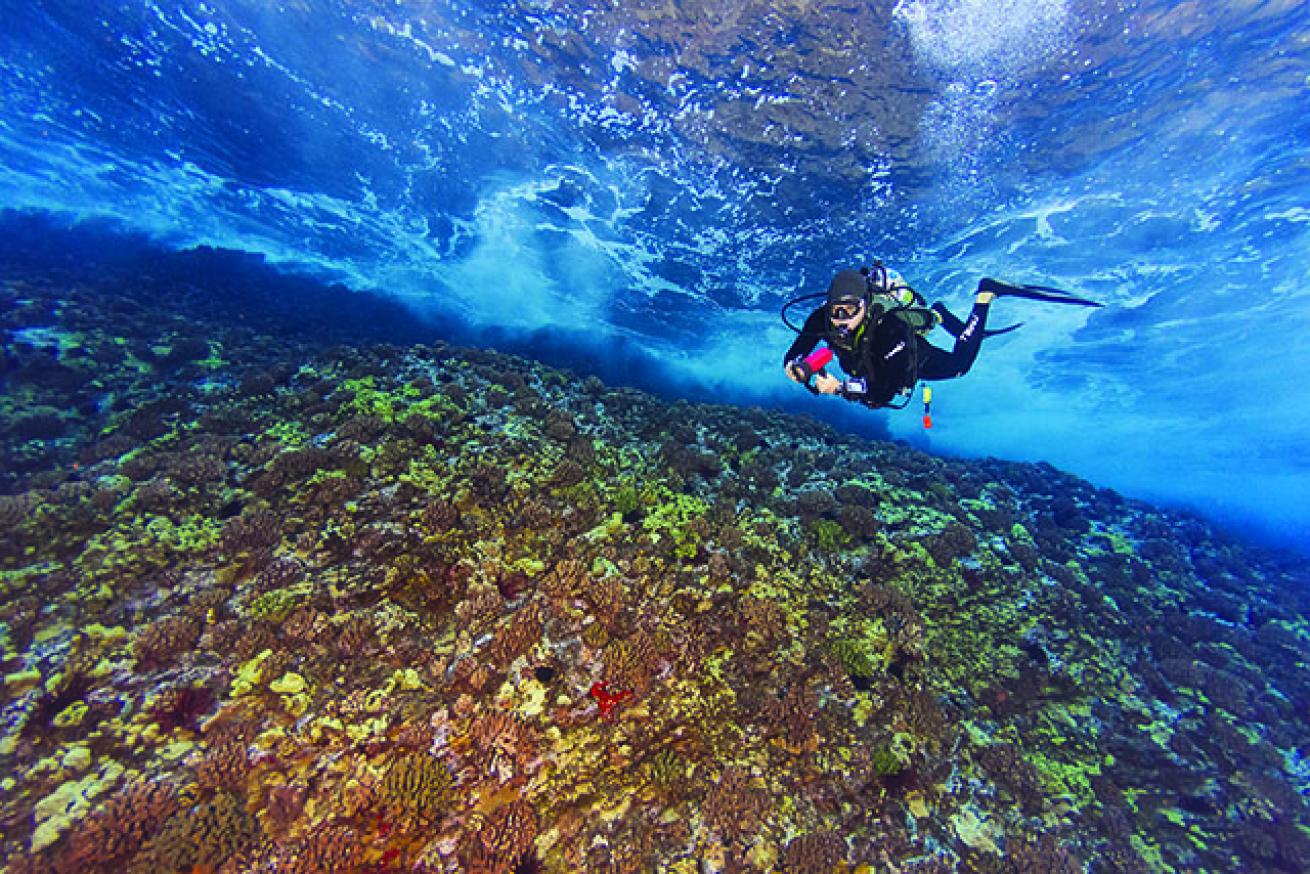 scuba diving maui