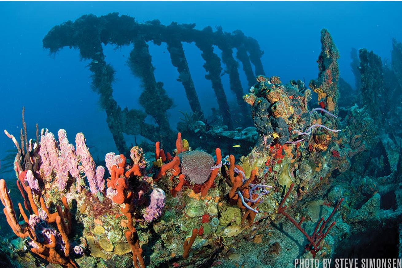 scuba diving british virgin islands