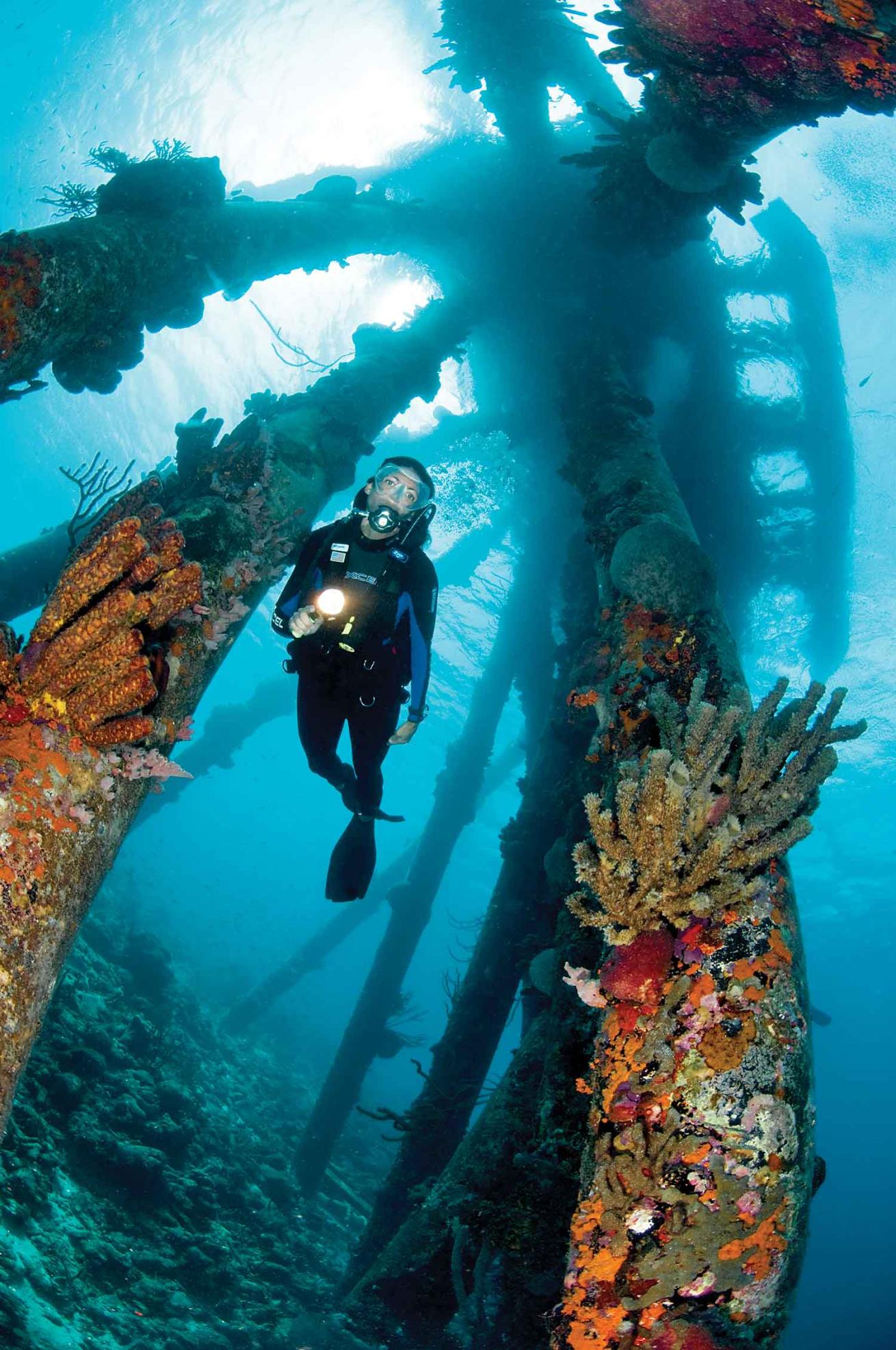 scuba diving in bonaire