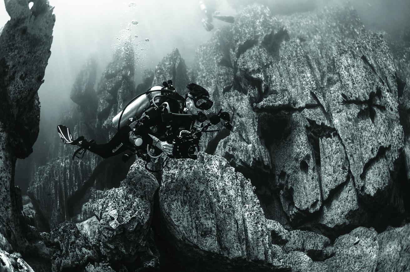 scuba diving philippines