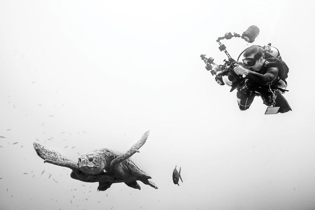 scuba diving in roatan