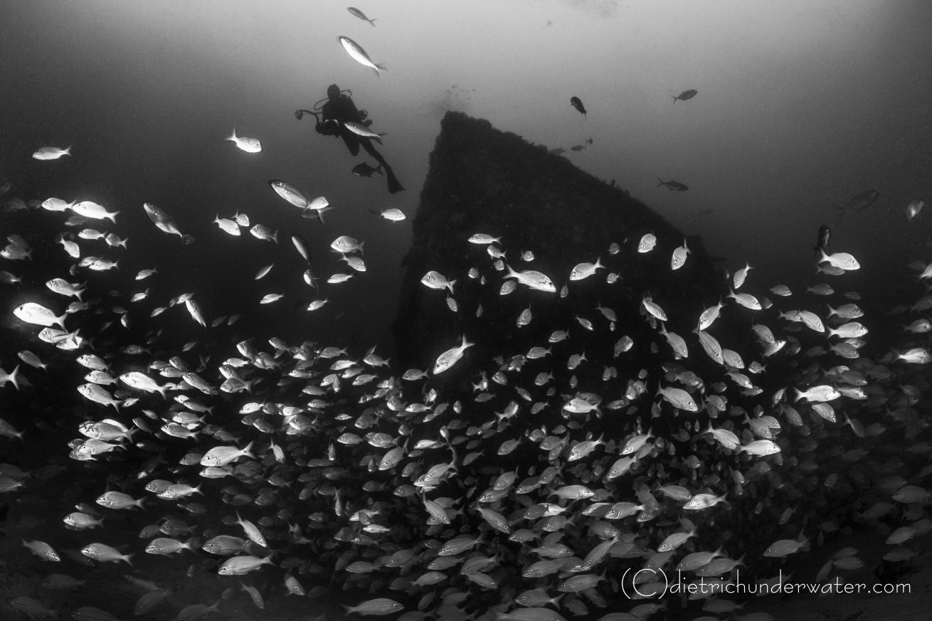 wreck scuba diving