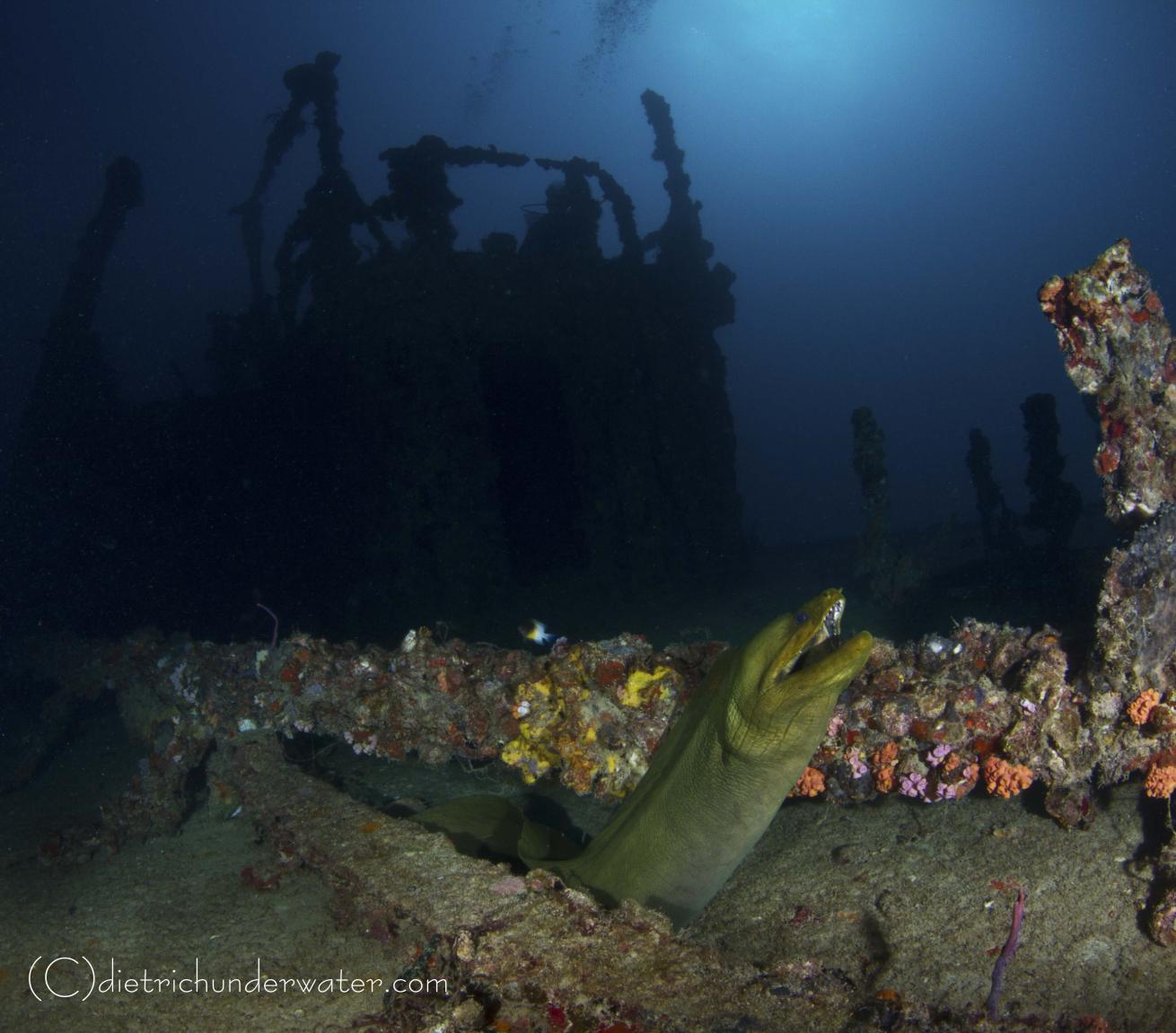 wreck scuba diving