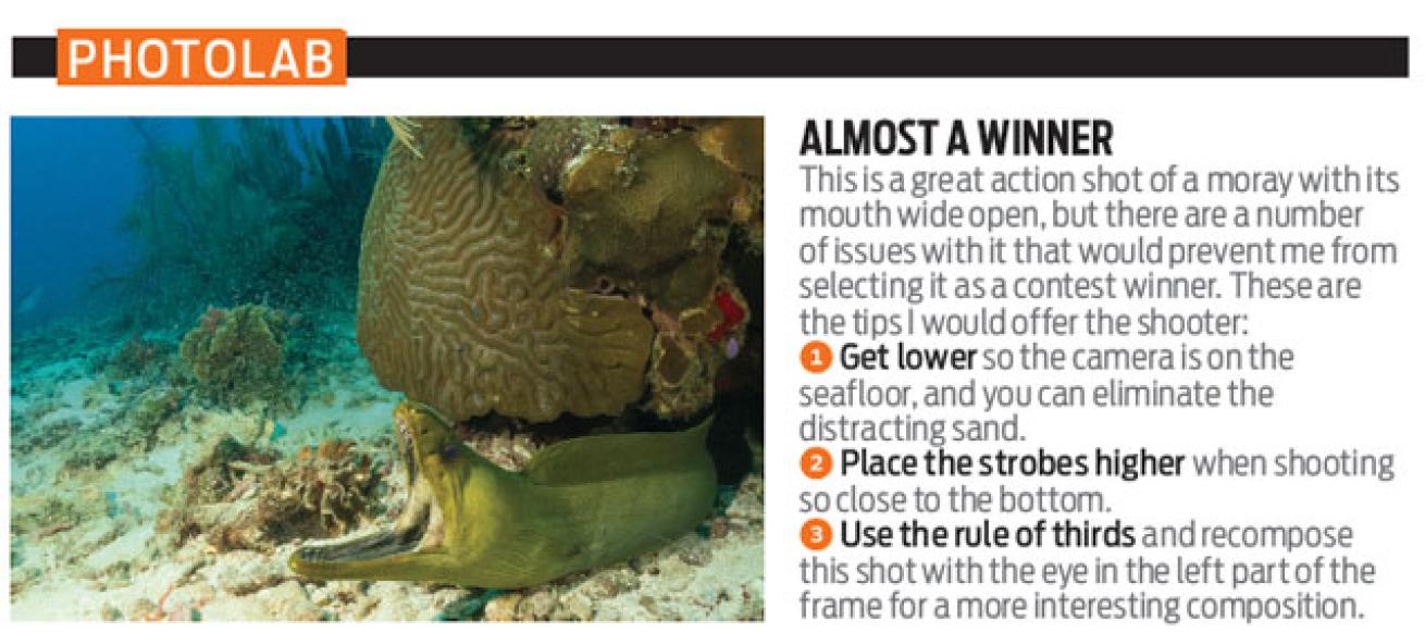 2014 photo contest