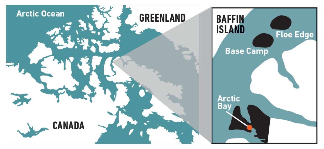 Map of High Arctic and Where to Dive With Narwhals