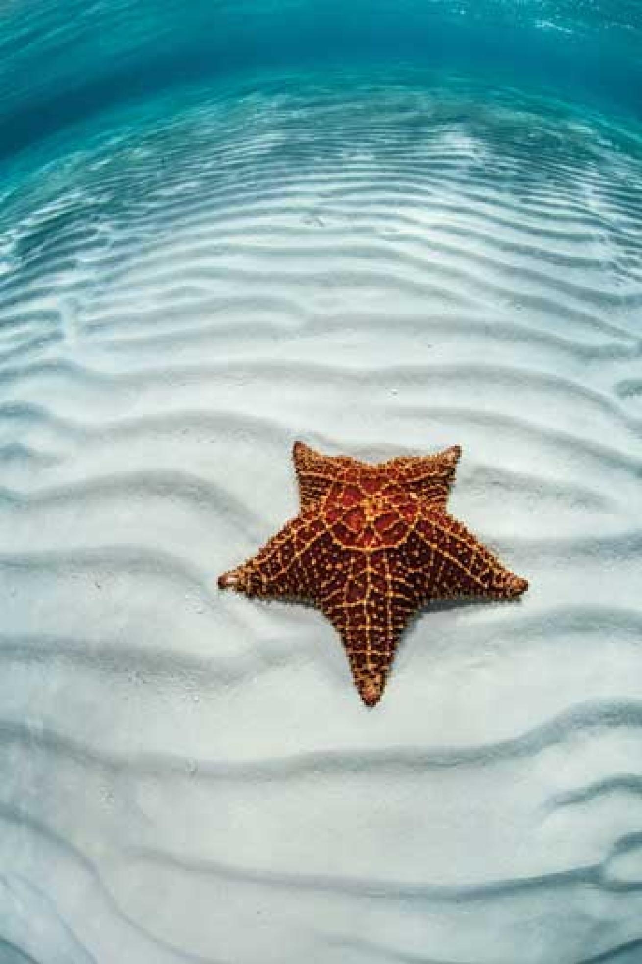 scuba diving Belize