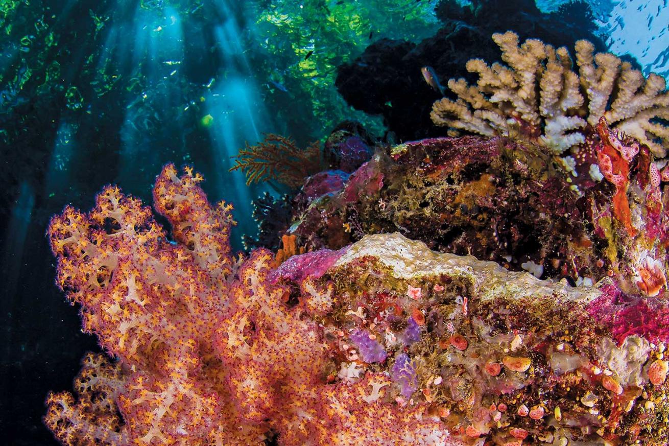Western Pacific Ocean, Solomon Islands