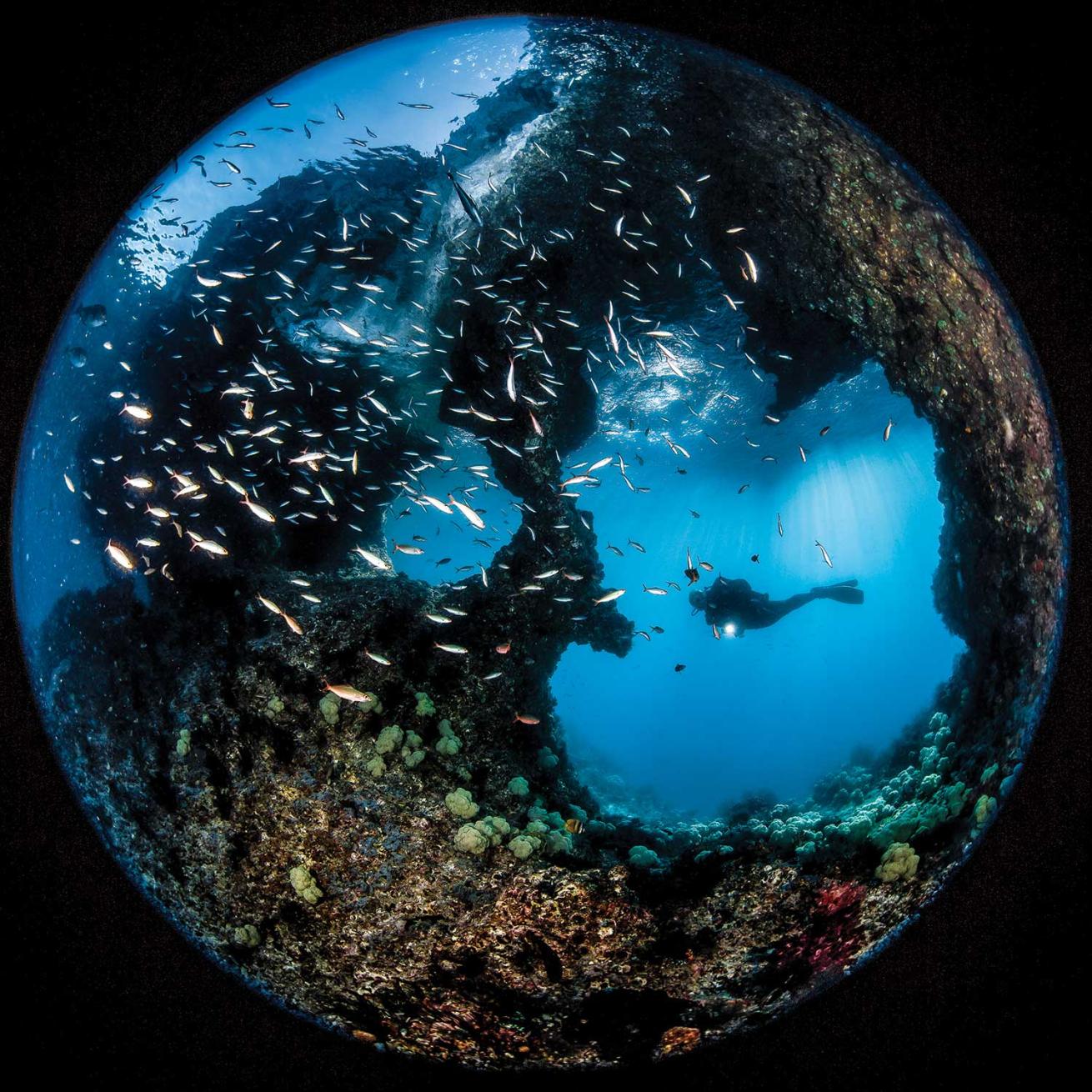 Halmahera Sea, Raja Ampat, Indonesia